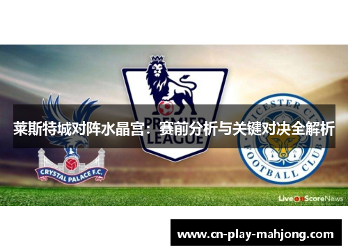 莱斯特城对阵水晶宫：赛前分析与关键对决全解析