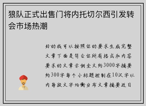 狼队正式出售门将内托切尔西引发转会市场热潮